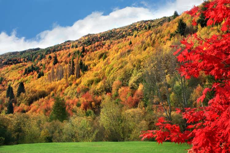 52 Norfolk Street Arrowtown_2