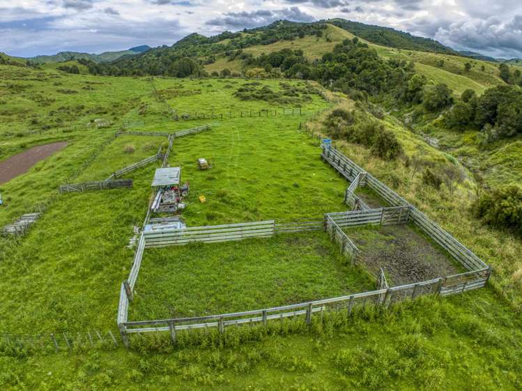 851 Awamate Road Frasertown_8