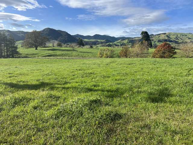 407 Rawhiti Road Te Aroha_3