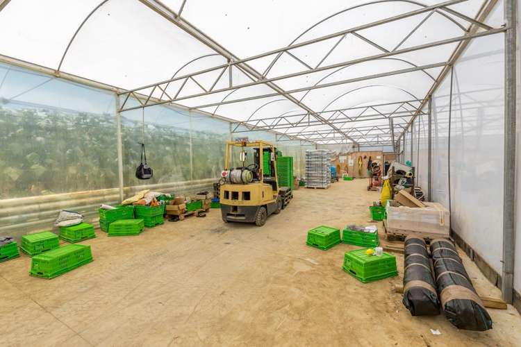 379 Razorback Road Pokeno_15