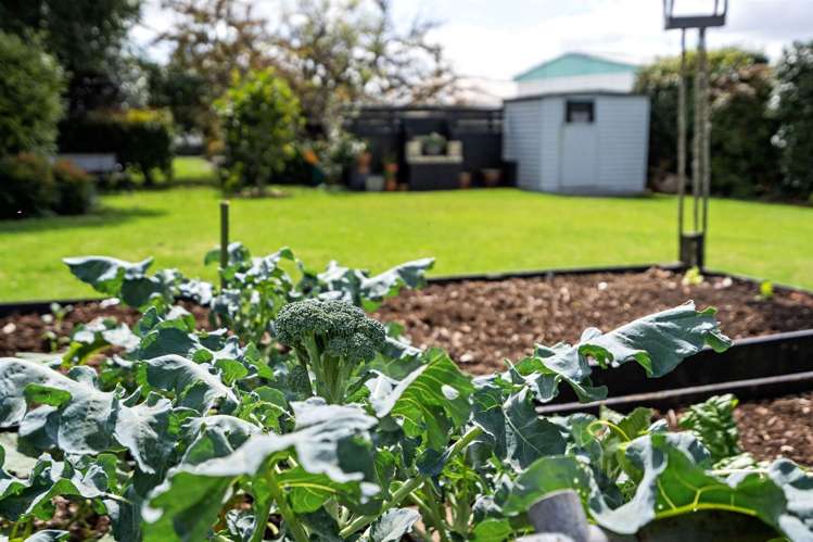 16 Clark Road Kamo_8