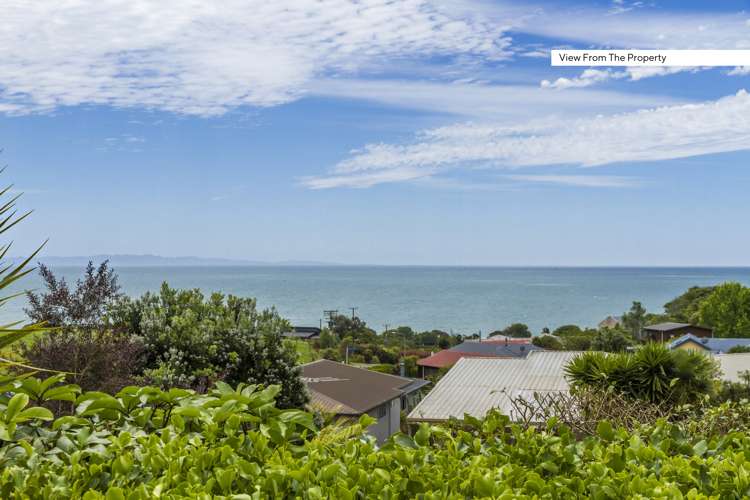 2 Kowhatu Grove Kahurangi National Park_7