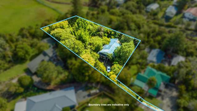 85b Woodglen Road Glen Eden_2