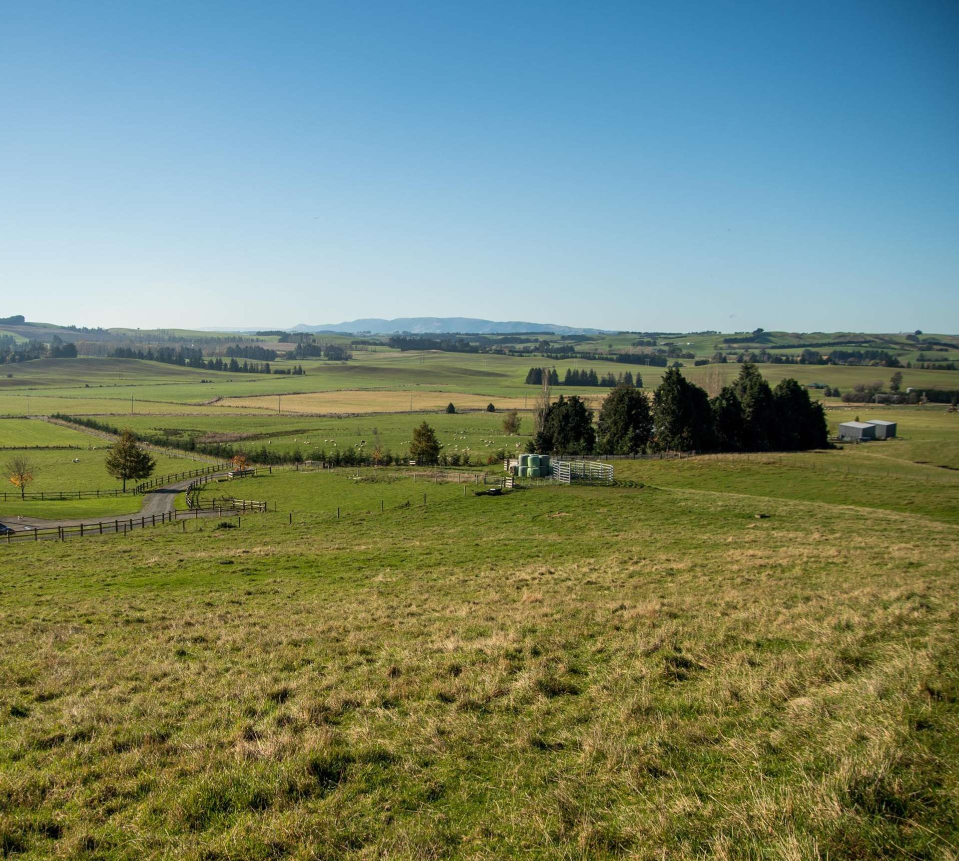 89C Mckinnon Road Mcnab_0