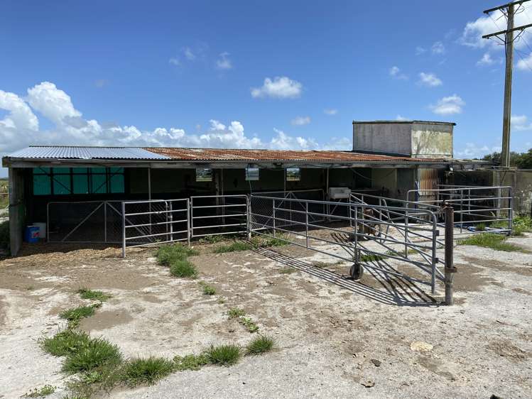 105 Aranui Road Kairanga_30