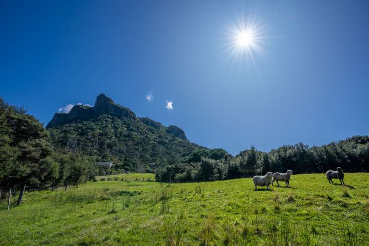 2281 Whangarei Heads Road Whangarei Heads_5