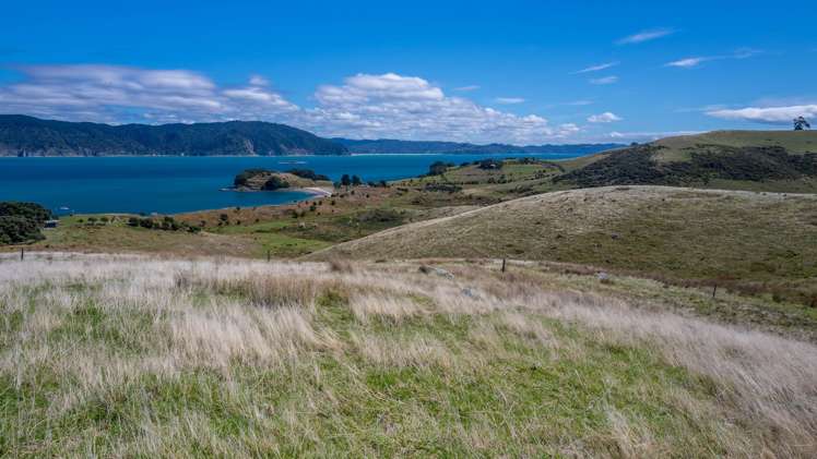 190 Pacific Ocean, Slipper Island (Whakahua) Thames_83