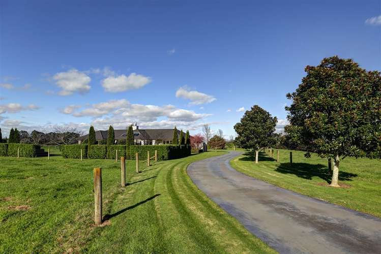 31b Lissette Road Newstead_9