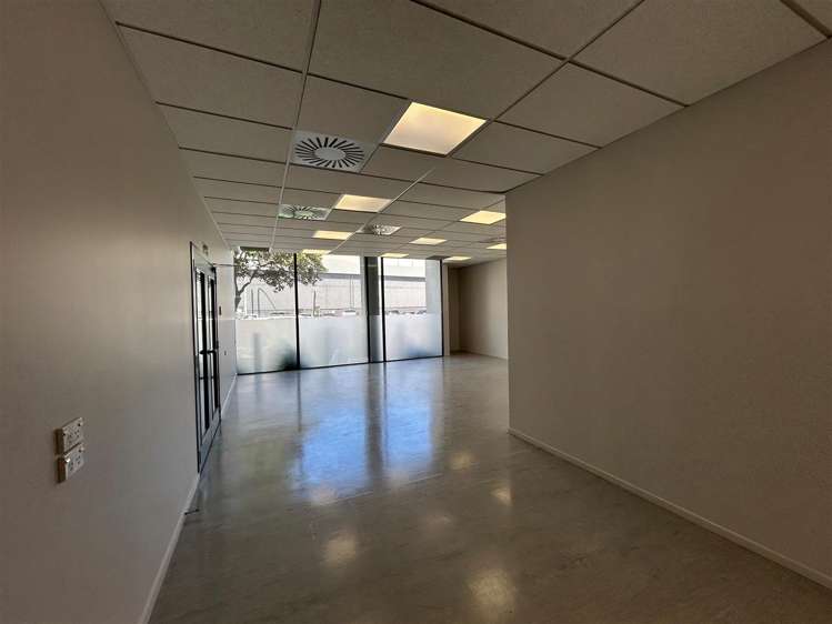 1 McNab Street Penrose_11