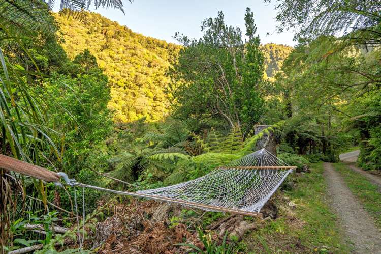 570 Tutaetoko Toatoa Opotiki_25