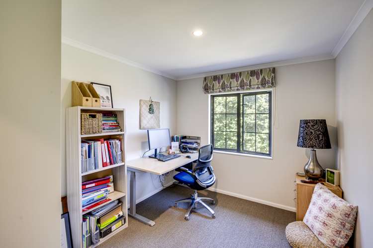 167b Avenue Road Greenmeadows_19