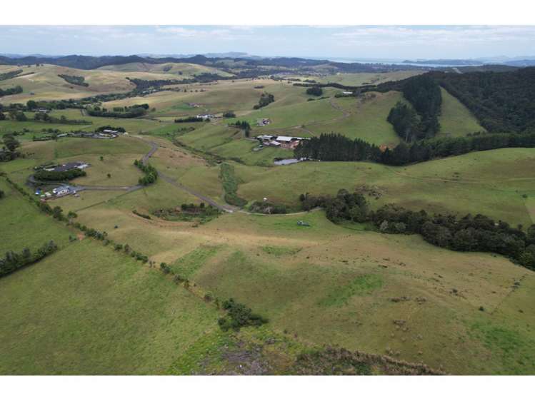 91 Sharyn Nelson Drive Haruru_2