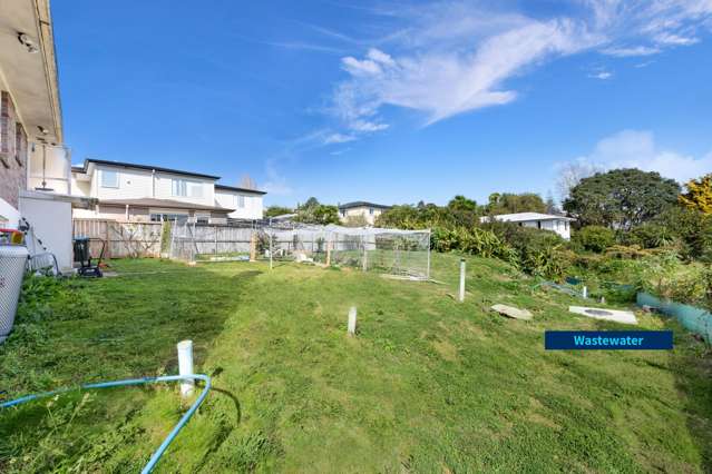 99 Tiverton Road Avondale_4