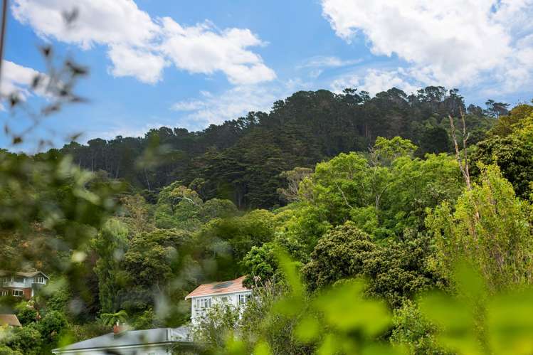 7A/19 Cottleville Terrace Thorndon_12