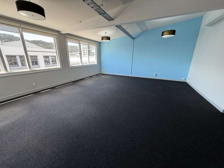 2-12 Allen Street Te Aro_2