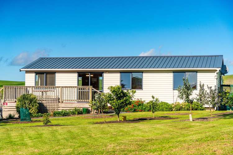 264 Bee Bush Road Dargaville_13