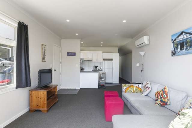 21 Boston Terrace Aro Valley_4