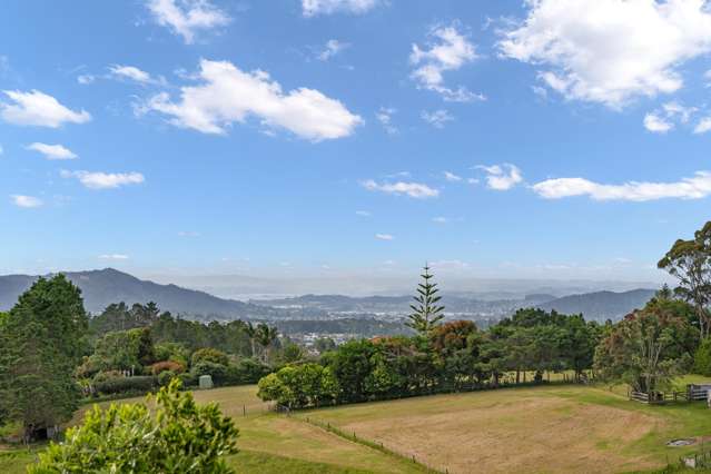 316 Vinegar Hill Road Kauri_1