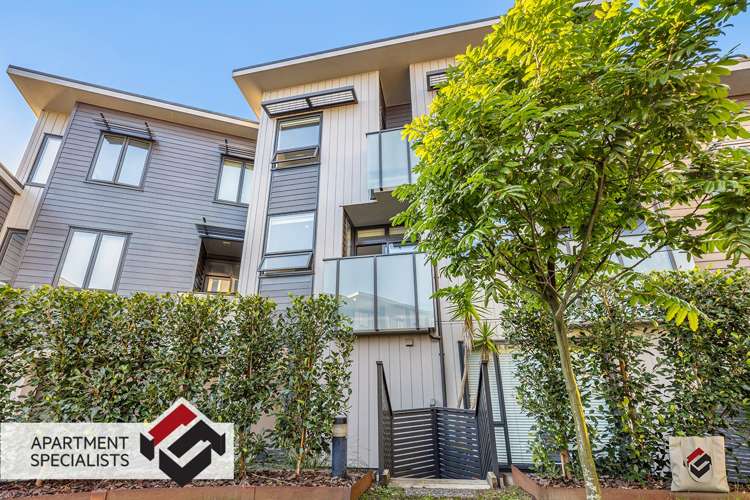 50 Harold Street Mount Eden_19