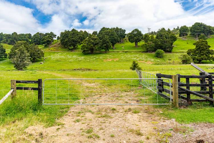 274 Whau Valley Road Whau Valley_24