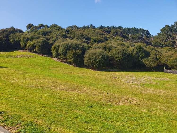 12 Ngarimu Heights Row Ngarimu Bay_10