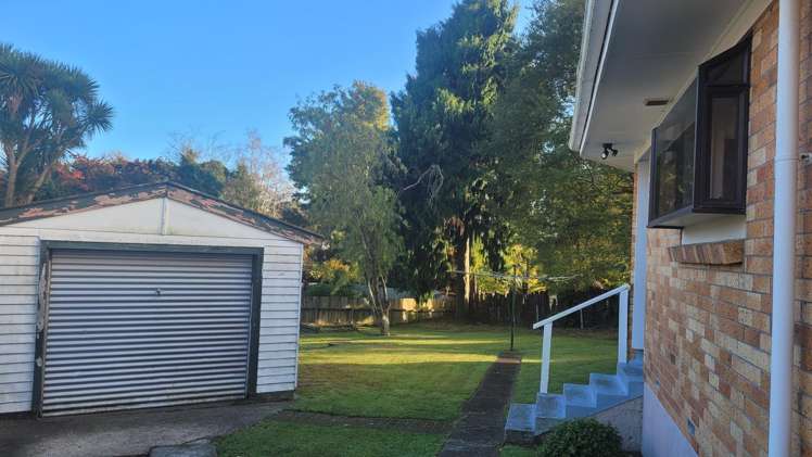 135 Otonga Road Springfield_3