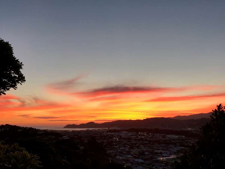 57 Nevay Road Miramar_15