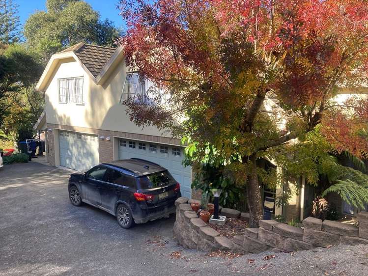 6I Tahora Avenue Remuera_0