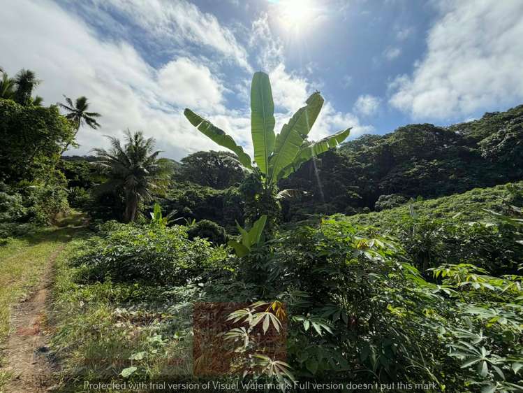 Address withheld Savusavu_15