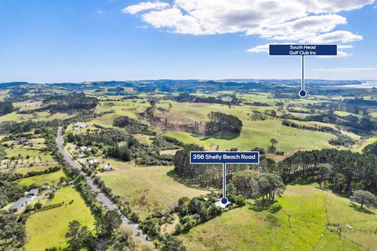 356 Shelly Beach Road South Head_26