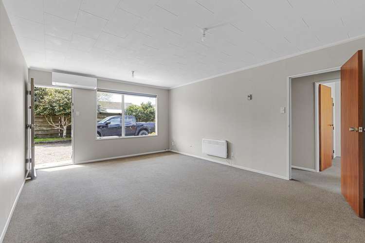 3/10 Kowhai Avenue Takaro_2