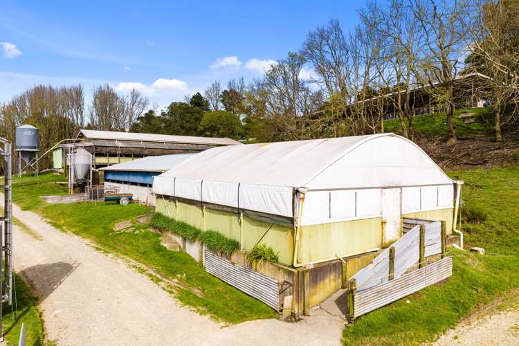 1638 State Highway 12 Paparoa_21