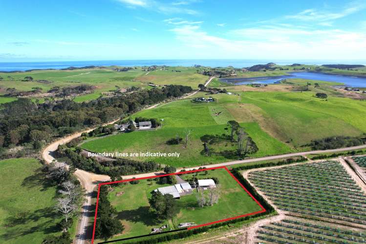 259 Redhill Cemetery Road Te Kopuru_1