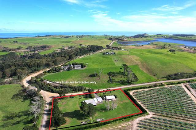 259 Redhill Cemetery Road Te Kopuru_1