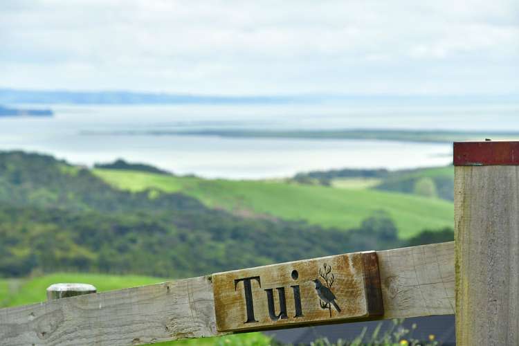 113 West Road Kaukapakapa_15