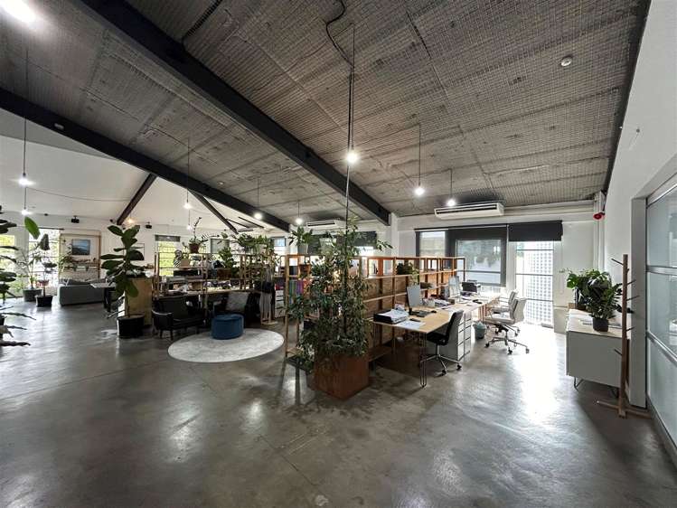 21 Scanlan Street Grey Lynn_4