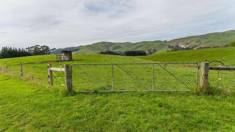 1241 Blythe Road Domett_32