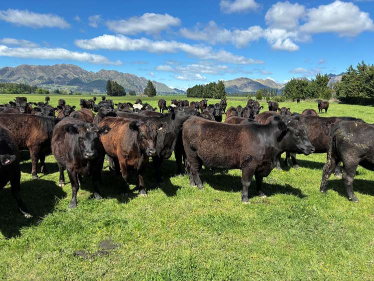 163 Woodbank Road Hanmer Springs_15