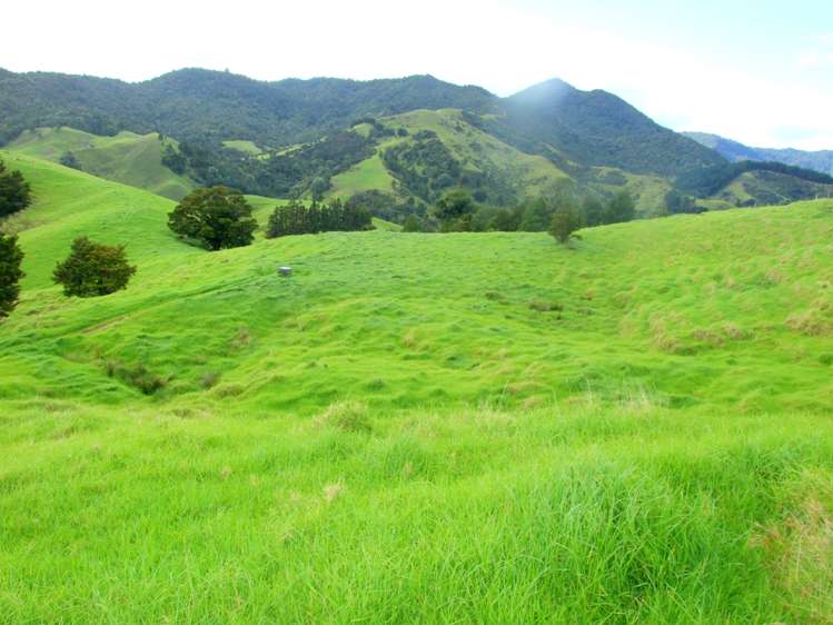 185 Takahue Saddle Road Takahue_12