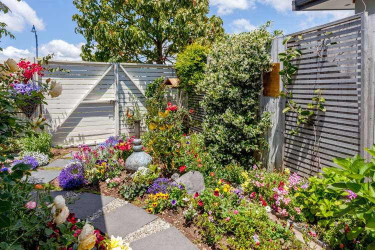 49 Kupe Drive Whitianga_5