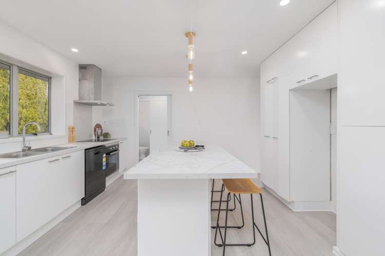 36 Seymour Street_3