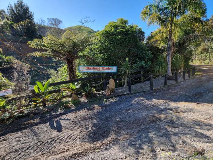 131 Harbutt Road Cambridge_16