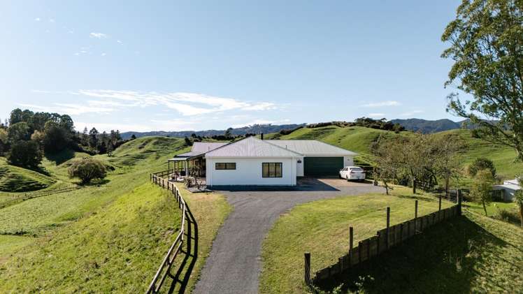 113C Downard Road_0
