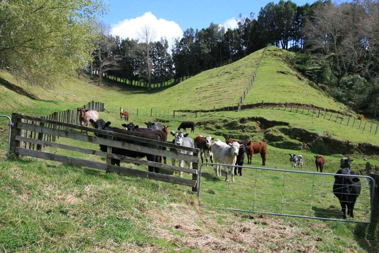 385 Wortley Road Lepperton_14