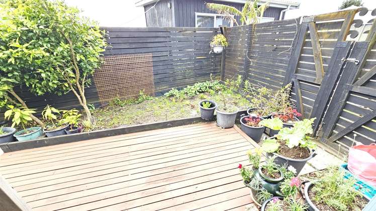 125 Ngaio Drive Matarangi_15