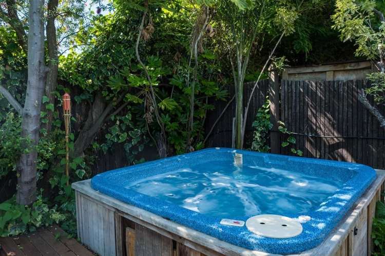 19a Carlyle Crescent Witherlea_21