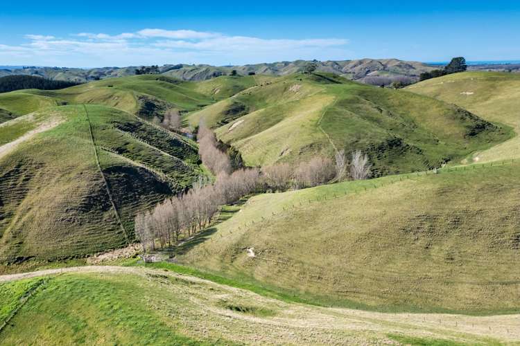 201 Breckenridge Road Puketapu_9