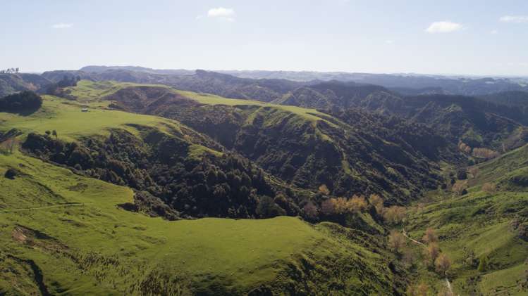 820 Rangitatau West Road Waitotara_16