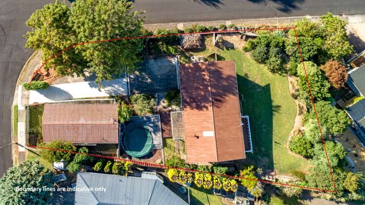 101 Hays Place Thames_24