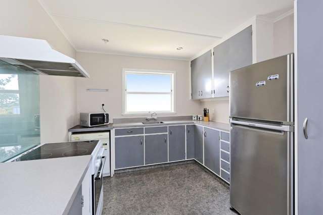 910 Freyberg Street Raureka_1